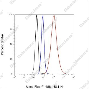 Recombinant NPM1 Monoclonal Antibody - 7