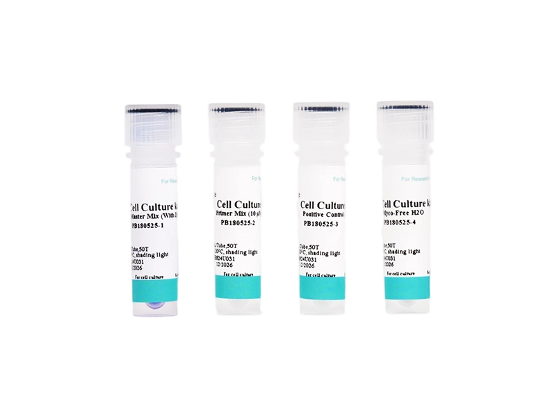 Mycoplasma rapid detection kit（PCR） - 2