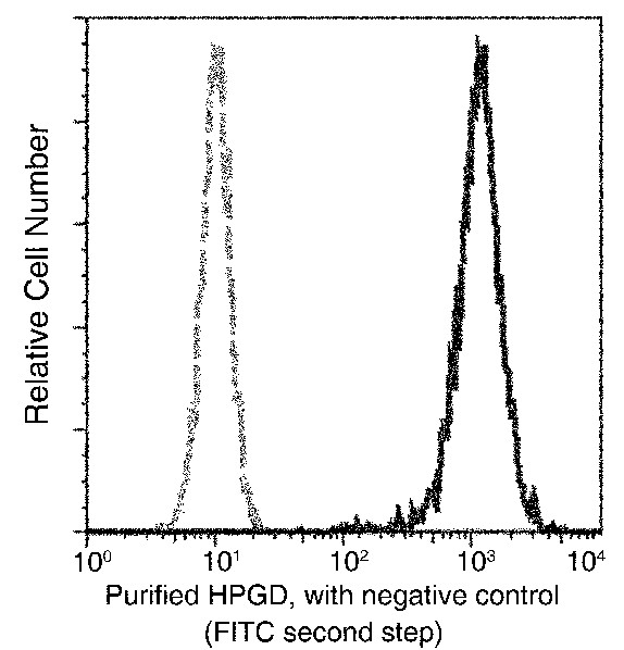 Recombinant HPGD/15-PGDH Monoclonal Antibody - small - 1
