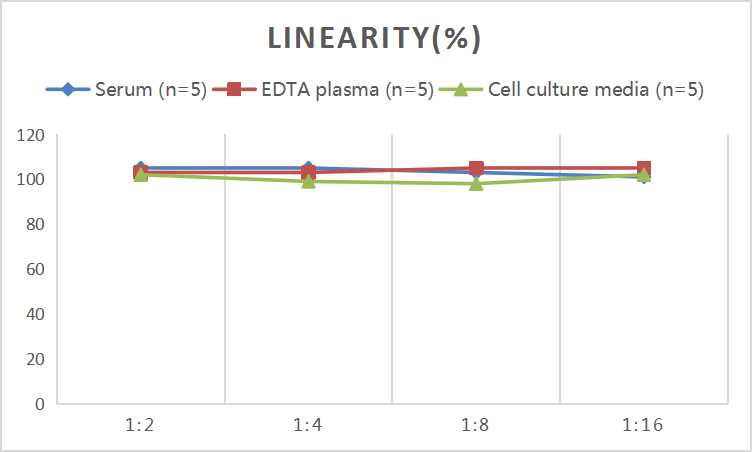 Mini Sample Human MMP-9 (Matrix metalloproteinase-9) ELISA Kit - small - 2