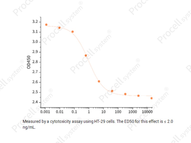 Interferon γ/IFN-γ/IFNG, Human, RecombinantInterferon γ/IFN-γ/IFNG, Human, Recombinant - 2