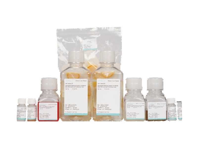 Mouse Brain Microvascular Endothelial Cell Isolation and Culture KitMouse Brain Microvascular Endothelial Cell Isolation and Culture Kit - 2