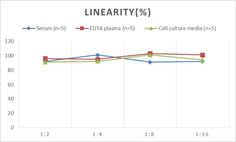 Mini Sample Mouse TNF-α(Tumor Necrosis Factor Alpha) ELISA Kit-1