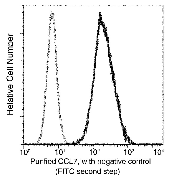 MCP-3/CCL7 Monoclonal Antibody - small - 2