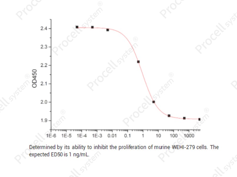 Interferon γ/IFN-γ/IFNG, Mouse, RecombinantInterferon γ/IFN-γ/IFNG, Mouse, Recombinant - 2