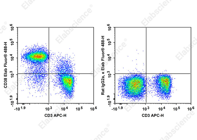 Elab Fluor<sup>®</sup> 488 Anti-Mouse CD38 Antibody[90]-searchlist-1