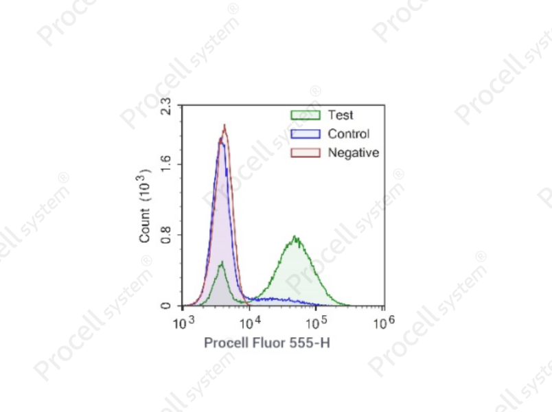 One-step TUNEL Flow Cytometry Apoptosis Kit (Red, Procell Fluor 555)
