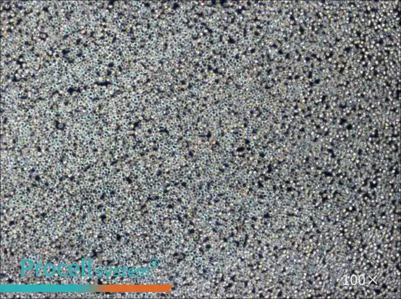 Z-138 Cell Complete MediumZ-138 Cell Complete Medium - 3