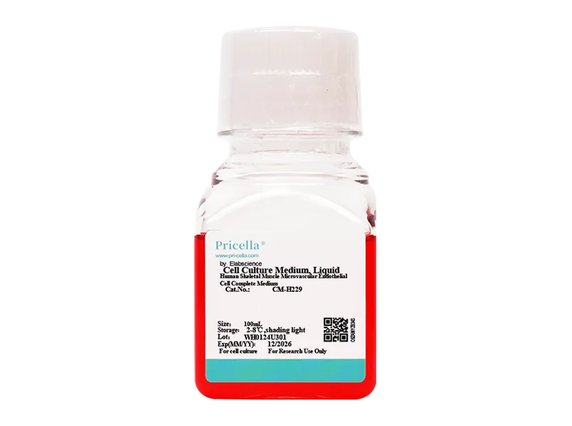 Human Skeletal Muscle Microvascular Endothelial Cell Complete Medium-searchlist-1