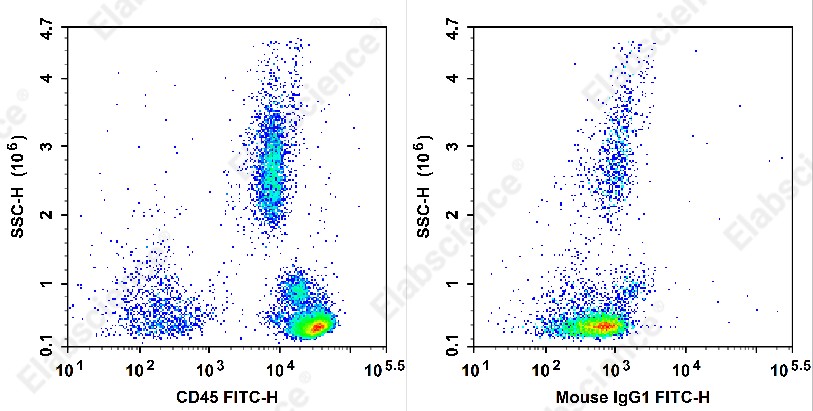 FITC Anti-Human CD45 Antibody[BC8] - 1