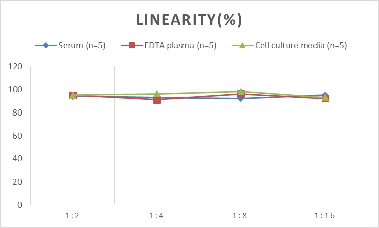 High Sensitivity Mouse IL-18(Interleukin 18) ELISA Kit-1