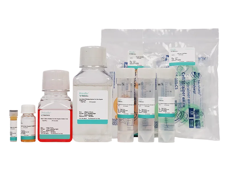 Rat Hepatic Stellate Cells Isolation and Culture Kit - small - 2