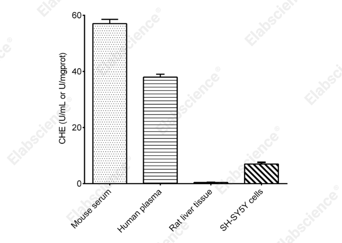 Cholinesterase (CHE) Activity Assay Kit - 2