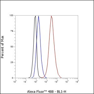 Recombinant PAK3 Monoclonal Antibody - small - 4