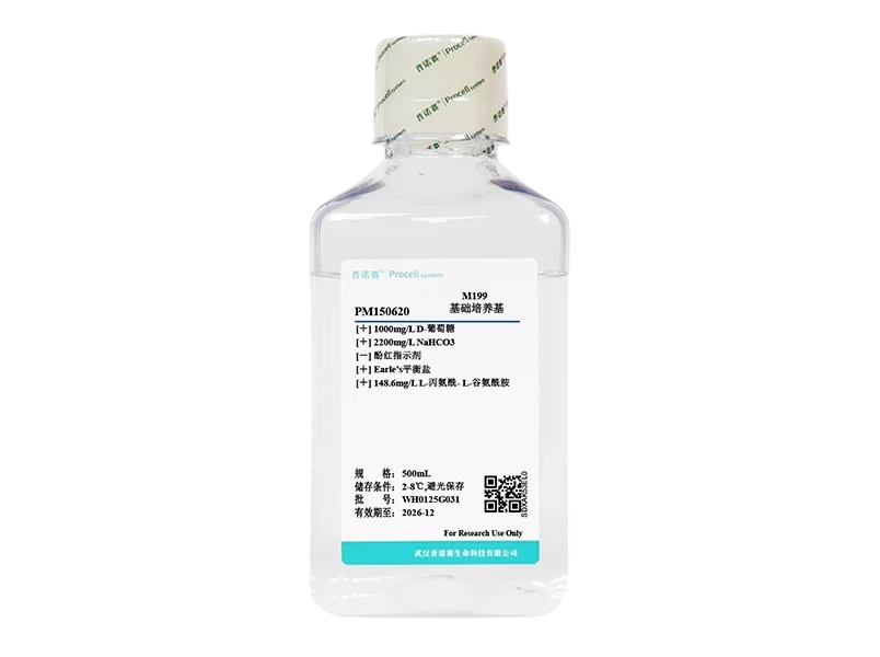 https://789.bio/ec/UUy5XuC1