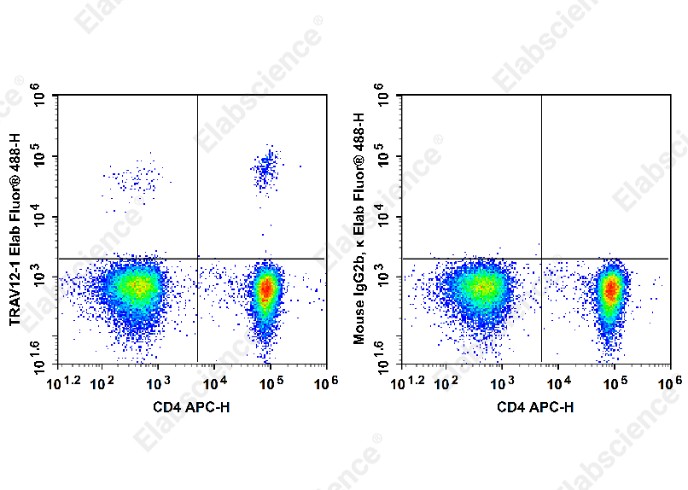 Elab Fluor<sup>&reg;</sup>488 Anti-Human TCRβV 12 Antibody[S511] - 1