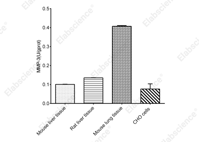 Matrix Metalloproteinase 3 (MMP-3) Activity Fluorometric Assay Kit  - 2