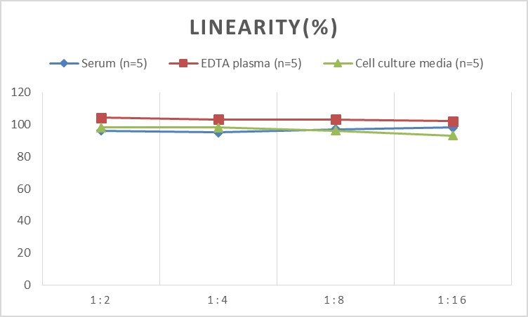 Human HO1(Heme Oxygenase 1) ELISA Kit-产品推荐-3