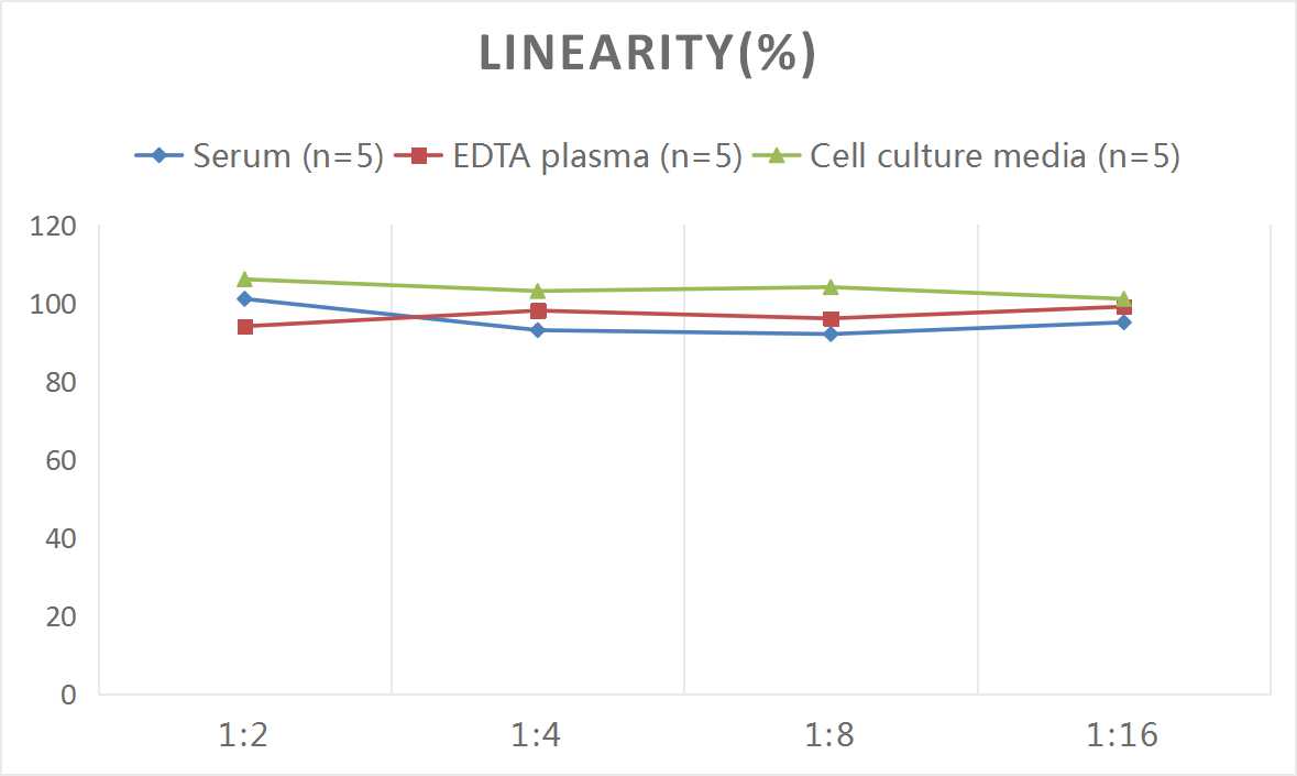 Mouse MT(Melatonin) ELISA Kit-1