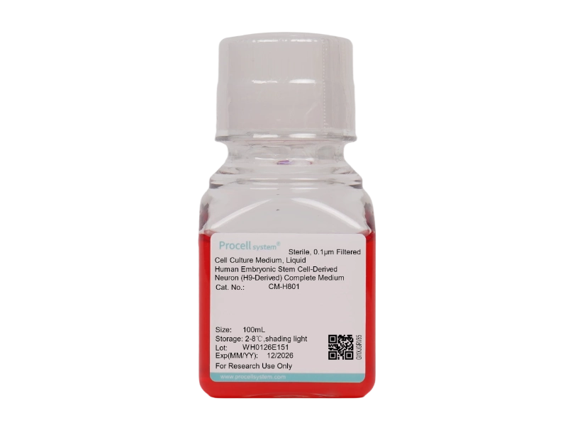Human Embryonic Stem Cell-Derived Neuron (H9-Derived) Complete Medium