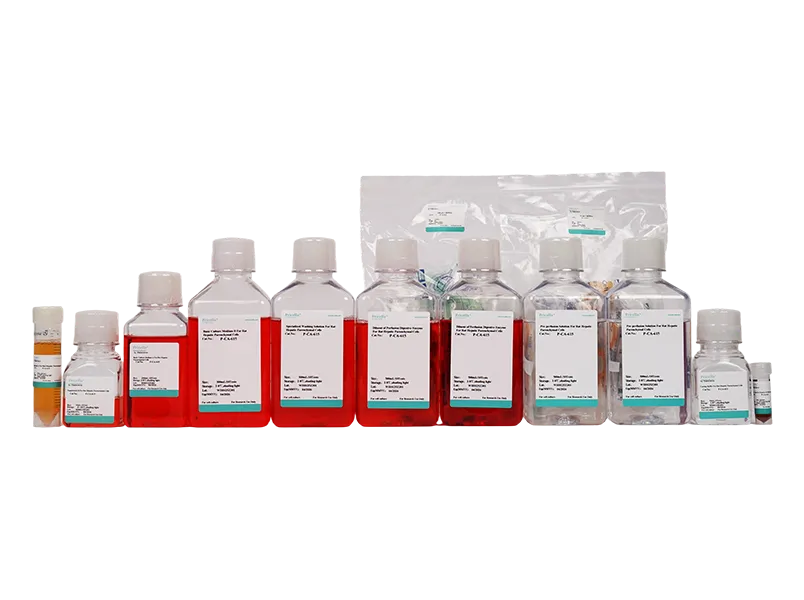 Rat Hepatic Parenchymal Cells Isolation and Culture Kit - small - 3