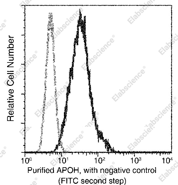 Apolipoprotein H/APOH Monoclonal Antibody - 2