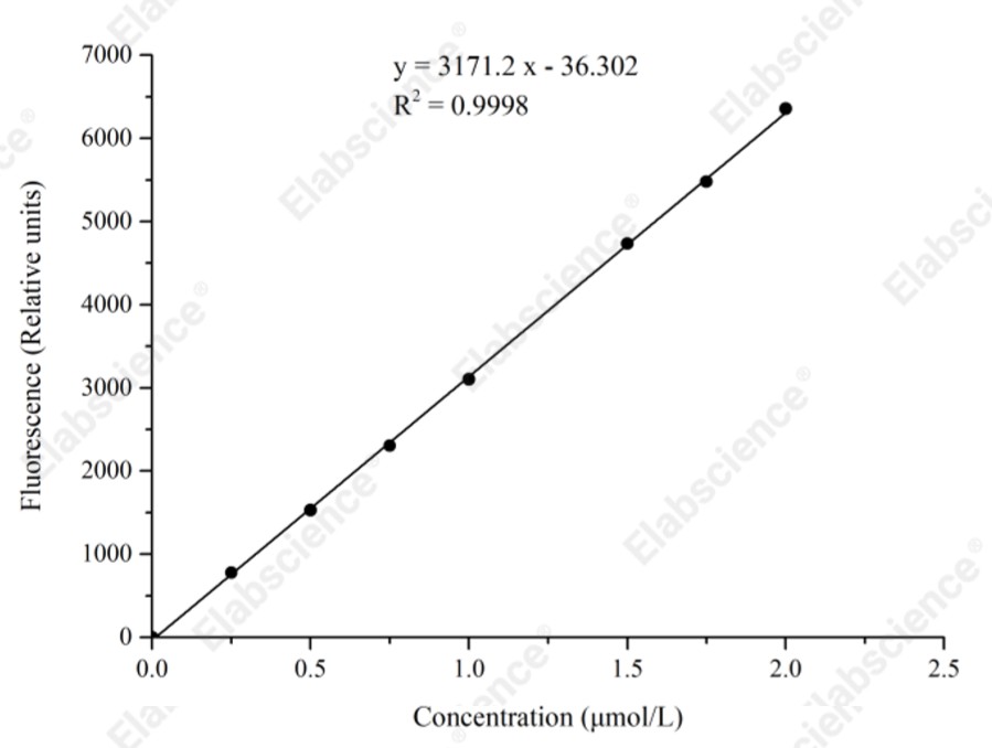 Fatty Acid Amide Hydrolase (FAAH) Activity  Fluorometric Assay Kit - 1