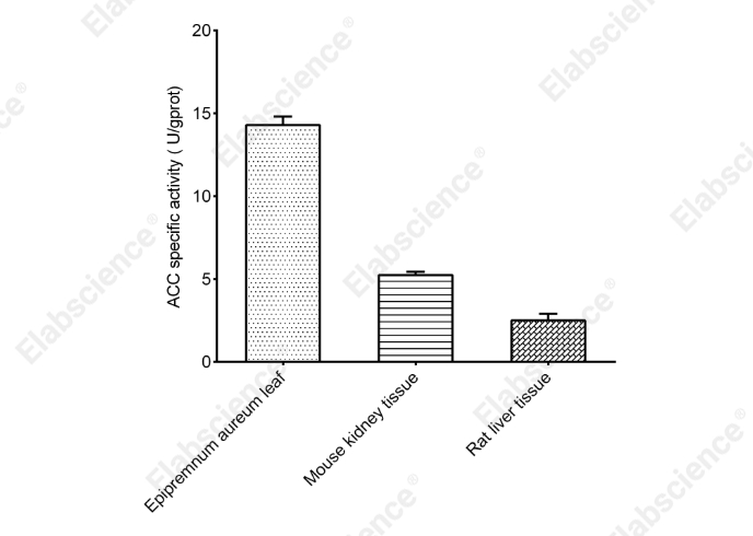 Acetyl-CoA Carboxylase (ACC) Activity Assay Kit - 2