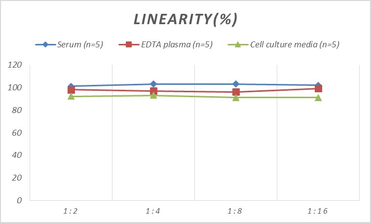 Monkey IgE(Immunoglobulin E) ELISA Kit - 2