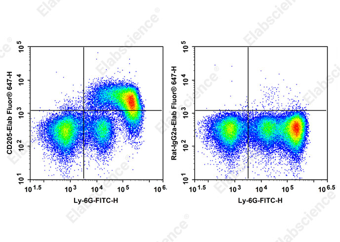 Elab Fluor<sup>®</sup> 647 Anti-Mouse CD205 Antibody[NLDC-145]-searchlist-1