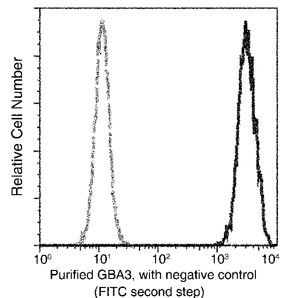 Recombinant GBA3 Monoclonal Antibody-searchlist-1