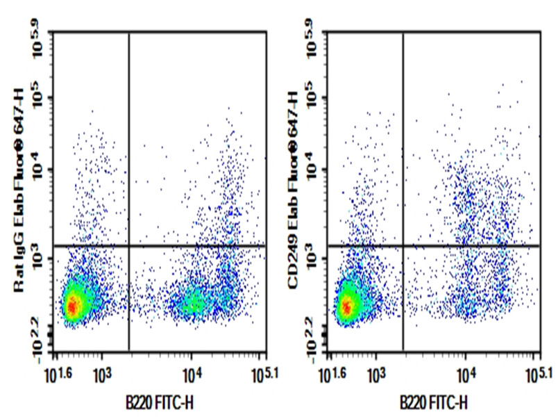 Purified Anti-Mouse CD249(Ly-51) Antibody[6C3]-1