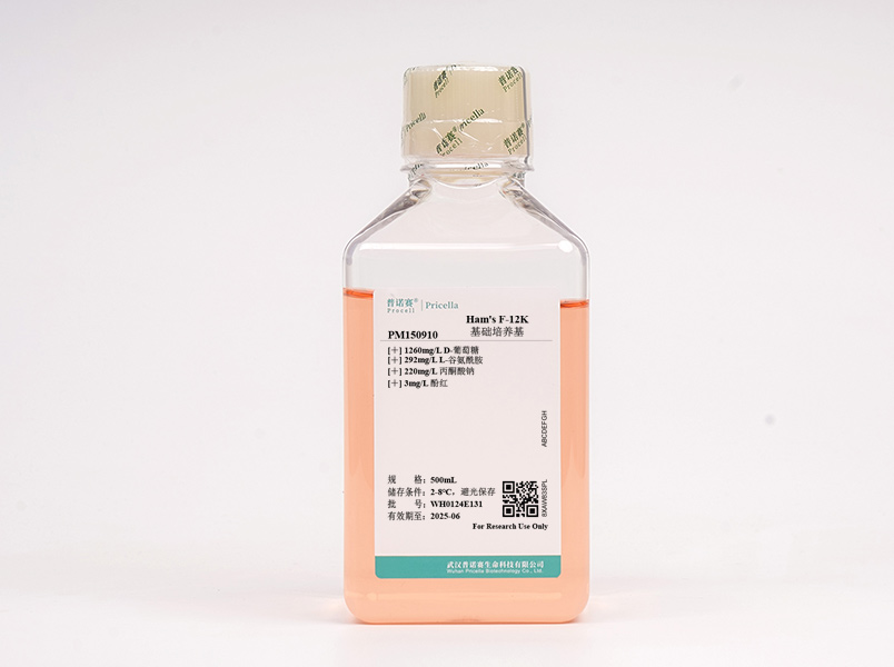 https://789.bio/ec/V9xH0O