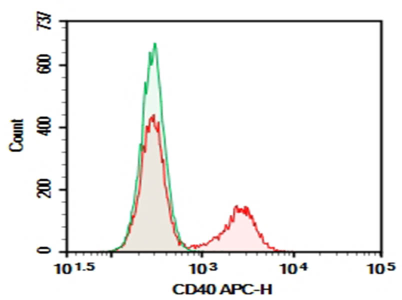 Purified Anti-Mouse CD40 Antibody[3/23]-searchlist-1