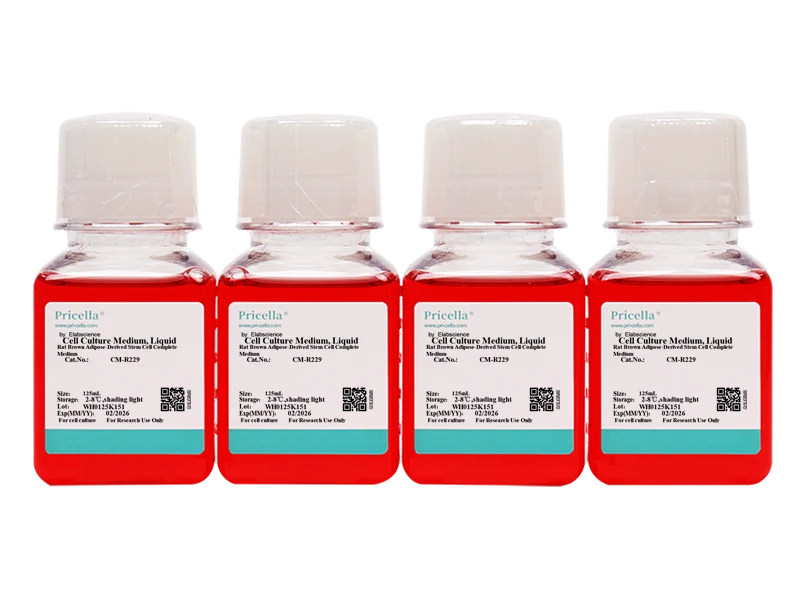 Rat Brown Adipose-Derived Stem Cell Complete Medium - small - 2