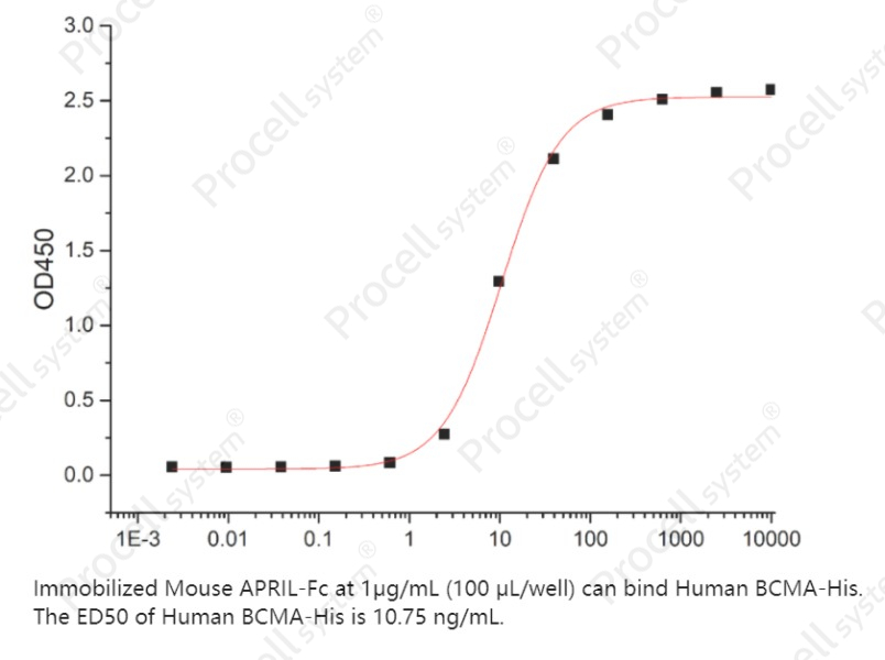 TNFRSF17/BCMA/CD269 (C-6His), Human, RecombinantTNFRSF17/BCMA/CD269 (C-6His), Human, Recombinant - 2