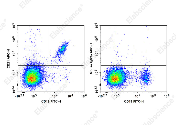 Biotin Mouse IgG2b, κ Isotype Control[MPC-11]-产品推荐-1