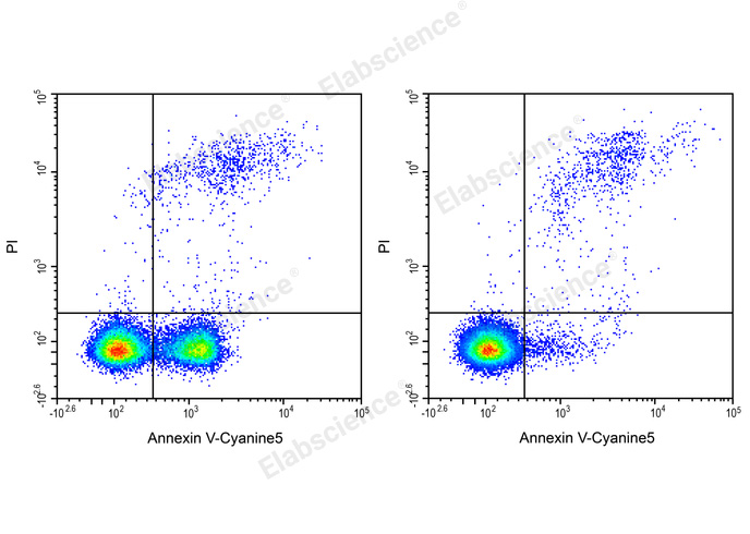 Annexin V-Cyanine5/PI Apoptosis Kit-1