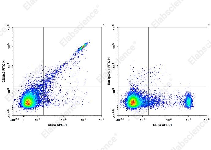 FITC Anti-Mouse CD8b.2 Antibody[53-5.8]-1