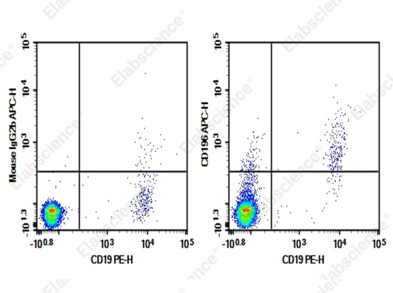 Purified Anti-Human CD196/CCR6 Antibody[G034E3]（E-AB-F1158A ...