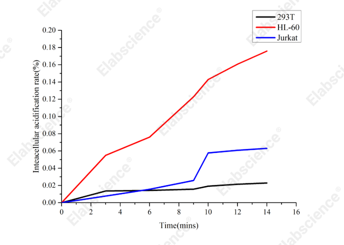 Intracellular Acidification Rate Fluorometric Assay Kit - 1