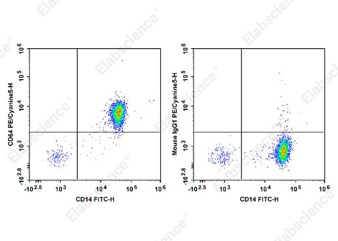 PE/Cyanine5 Anti-Human CD64 Antibody[10.1]-1
