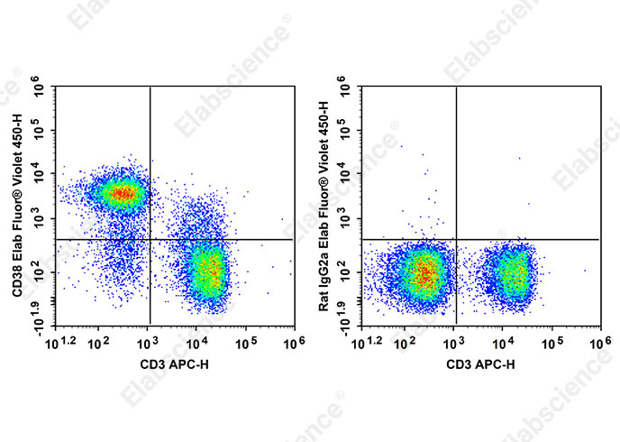 Elab Fluor<sup>®</sup> Violet 450 Anti-Mouse CD38 Antibody[90]-searchlist-1