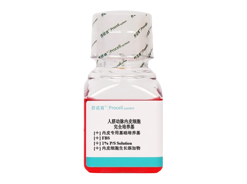 https://789.bio/ec/VMG7527V