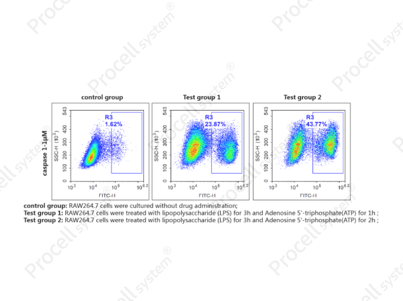 Caspase 1 Activity Detection Substrate for Flow Cytometry