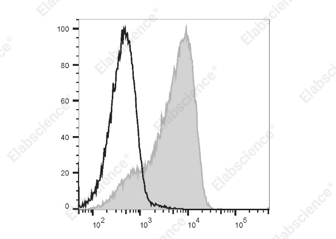 PE Anti-Mouse CD16.2 Antibody[9E9] - 1