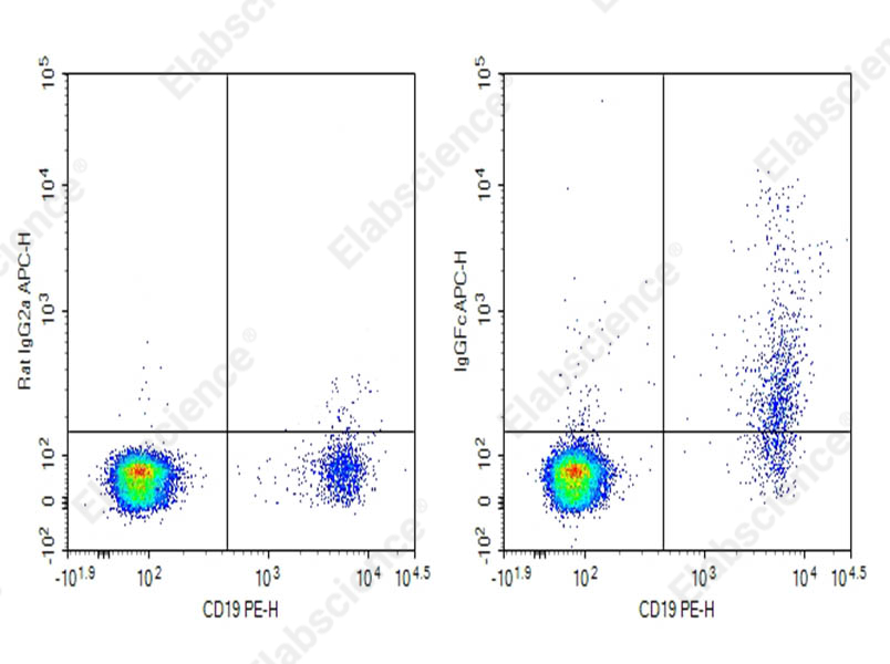 Purified Anti-Human IgG Fc Antibody[M1310G05] - 1