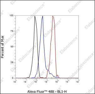 Recombinant CEACAM1 Monoclonal Antibody - 4