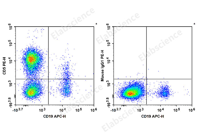 PE Anti-Human CD5 Antibody[5D7]-1