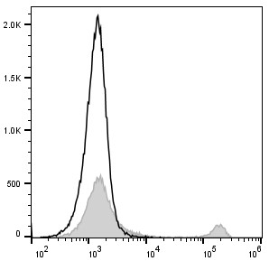 AF/LE Purified Anti-Mouse CD90.2/Thy1.2 Antibody[30H12]-产品推荐-1